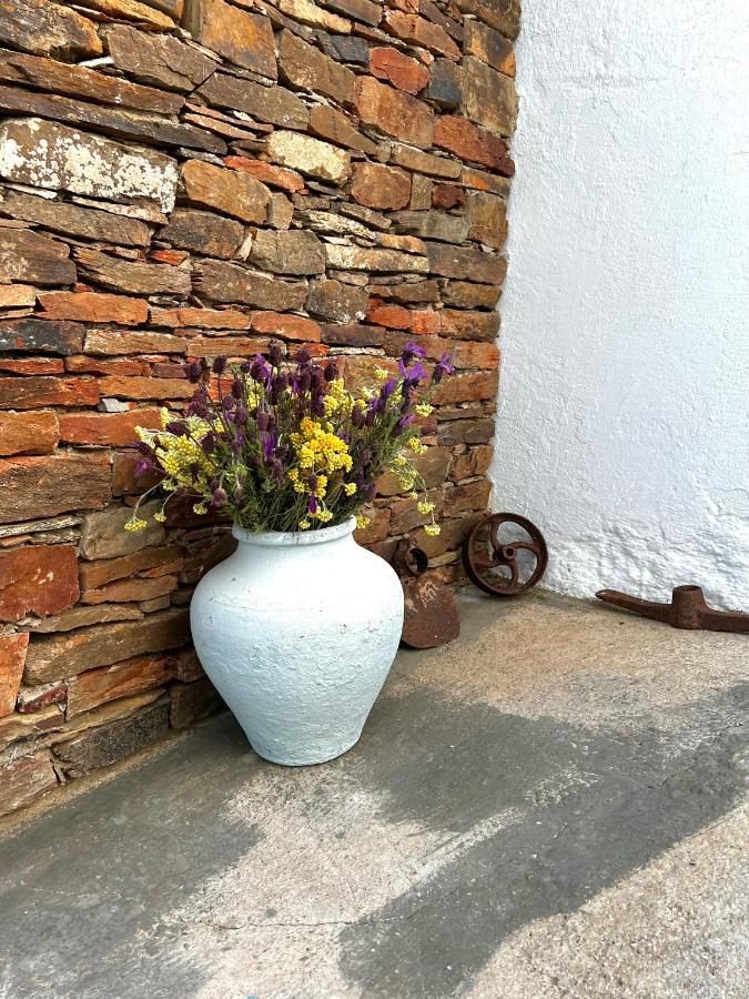 Casa Da Cerca Apartment Corte do Pinto Exterior photo